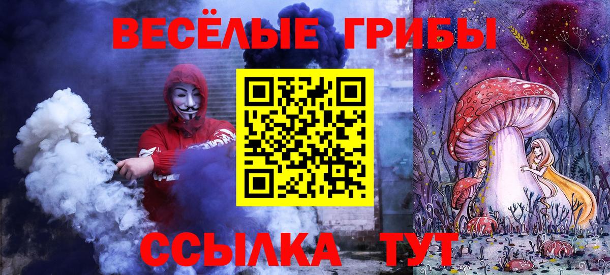 Псилоцибиновые грибы MAGIC MUSHROOMS  Вход с VPN  Кириши 