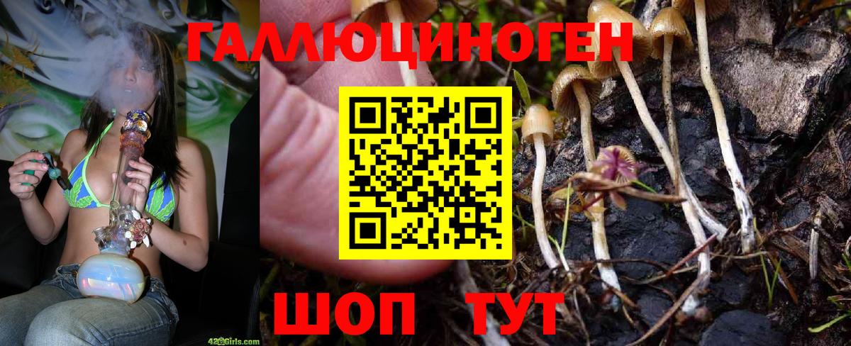 Галлюциногенные грибы ЛСД Кириши